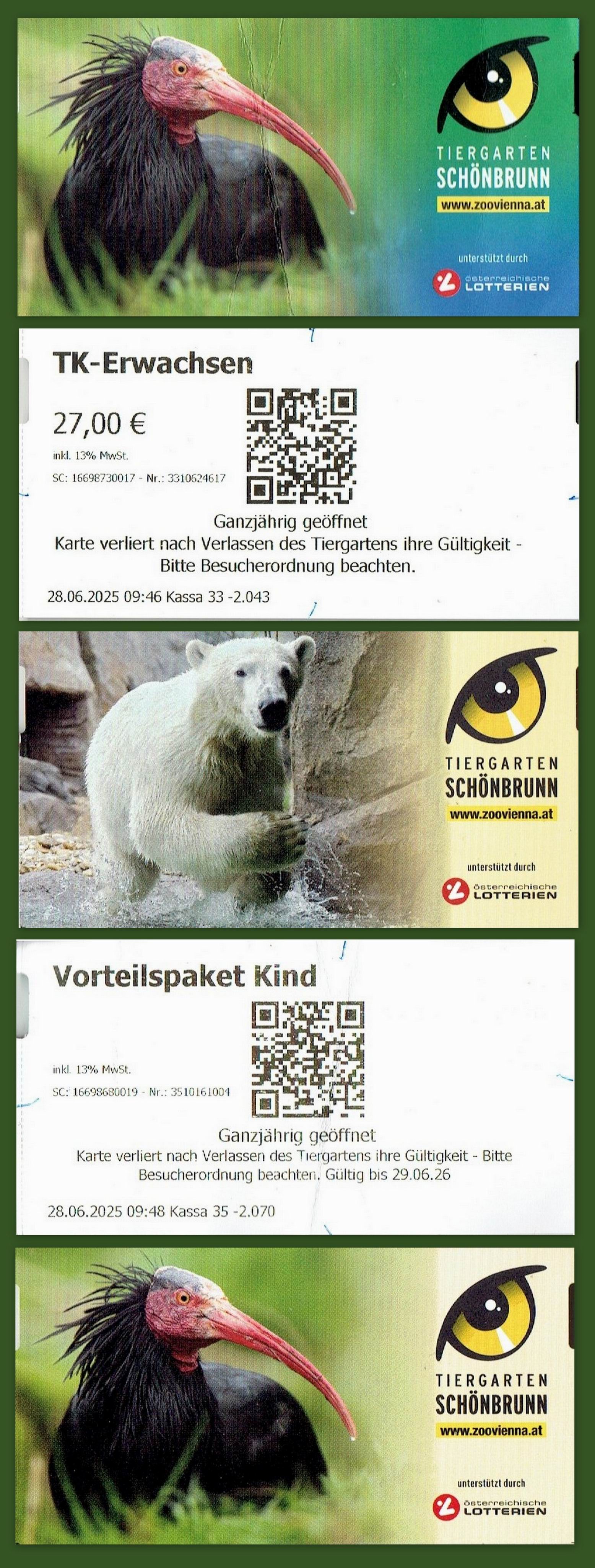 07 ZOO Vídeň