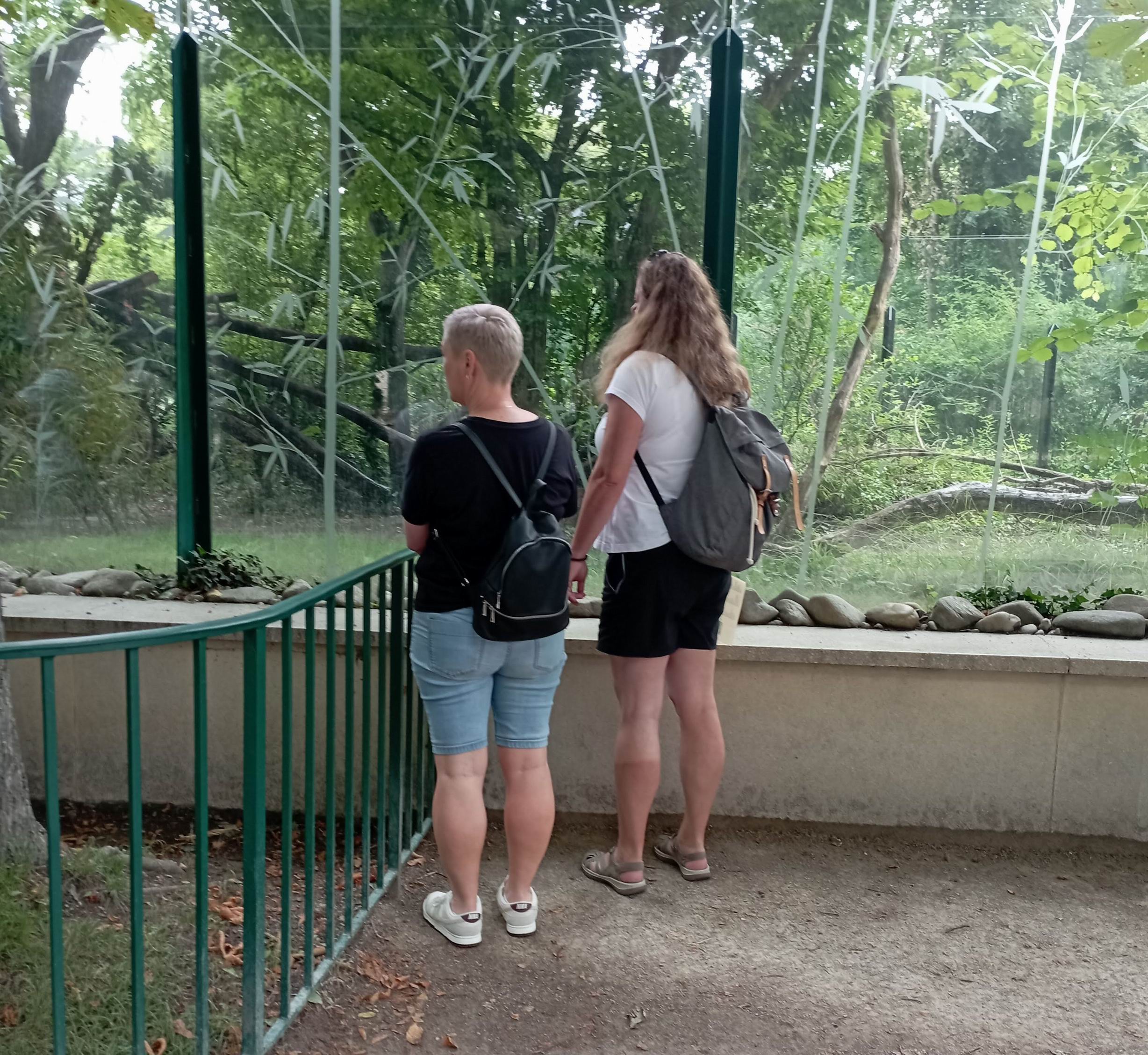 09 ZOO Vídeň