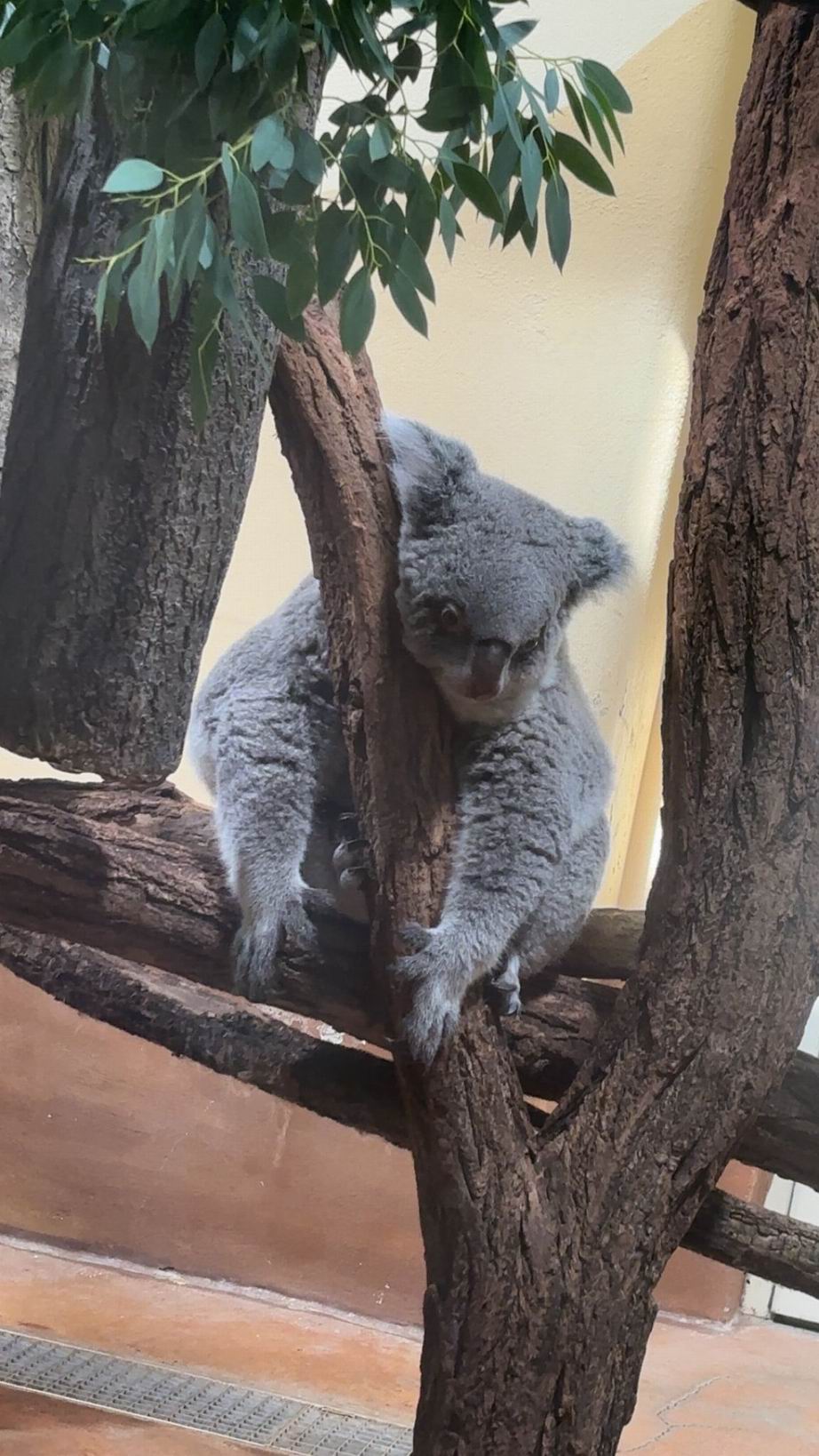 10 ZOO Vídeň
