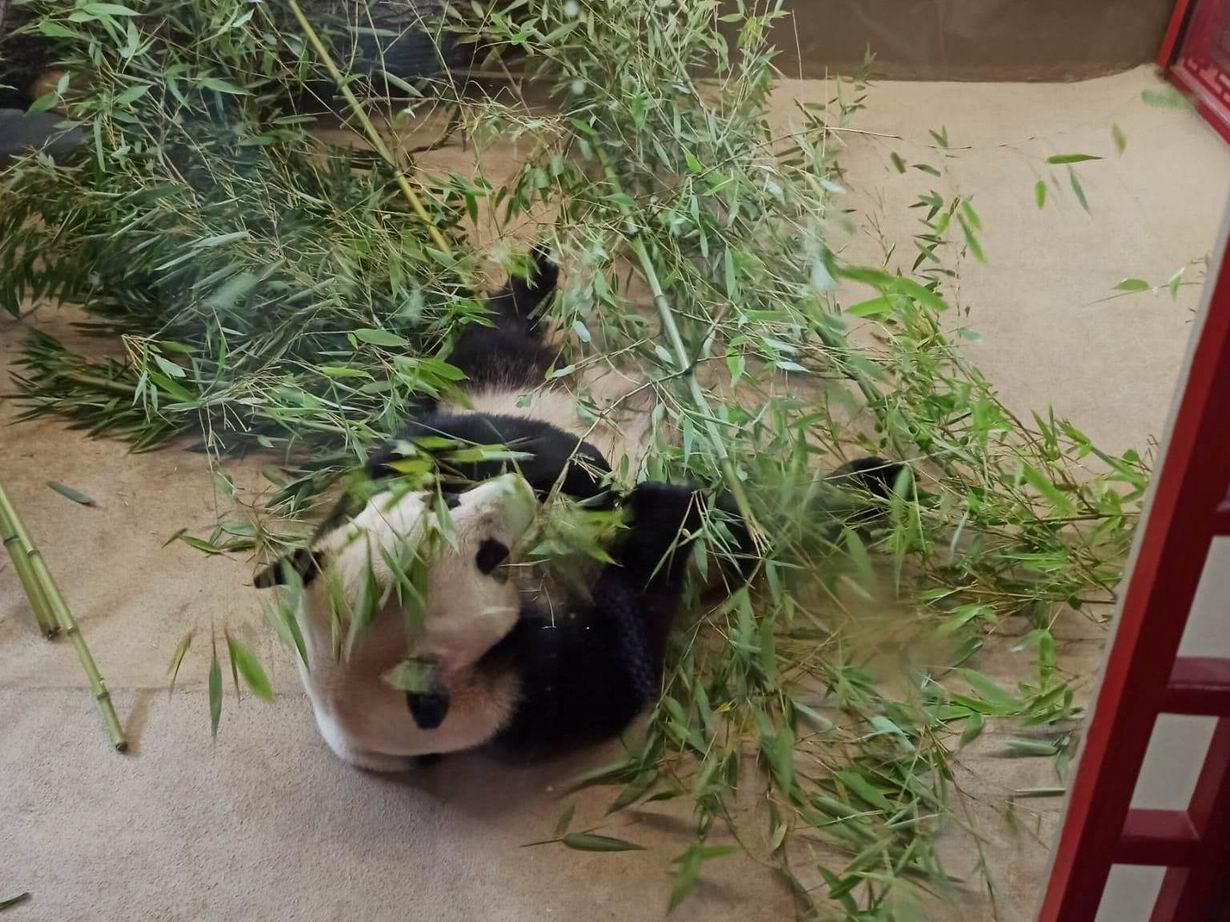 13 ZOO Vídeň