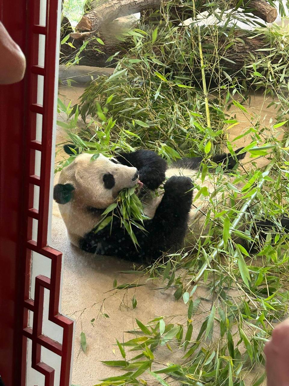 14 ZOO Vídeň