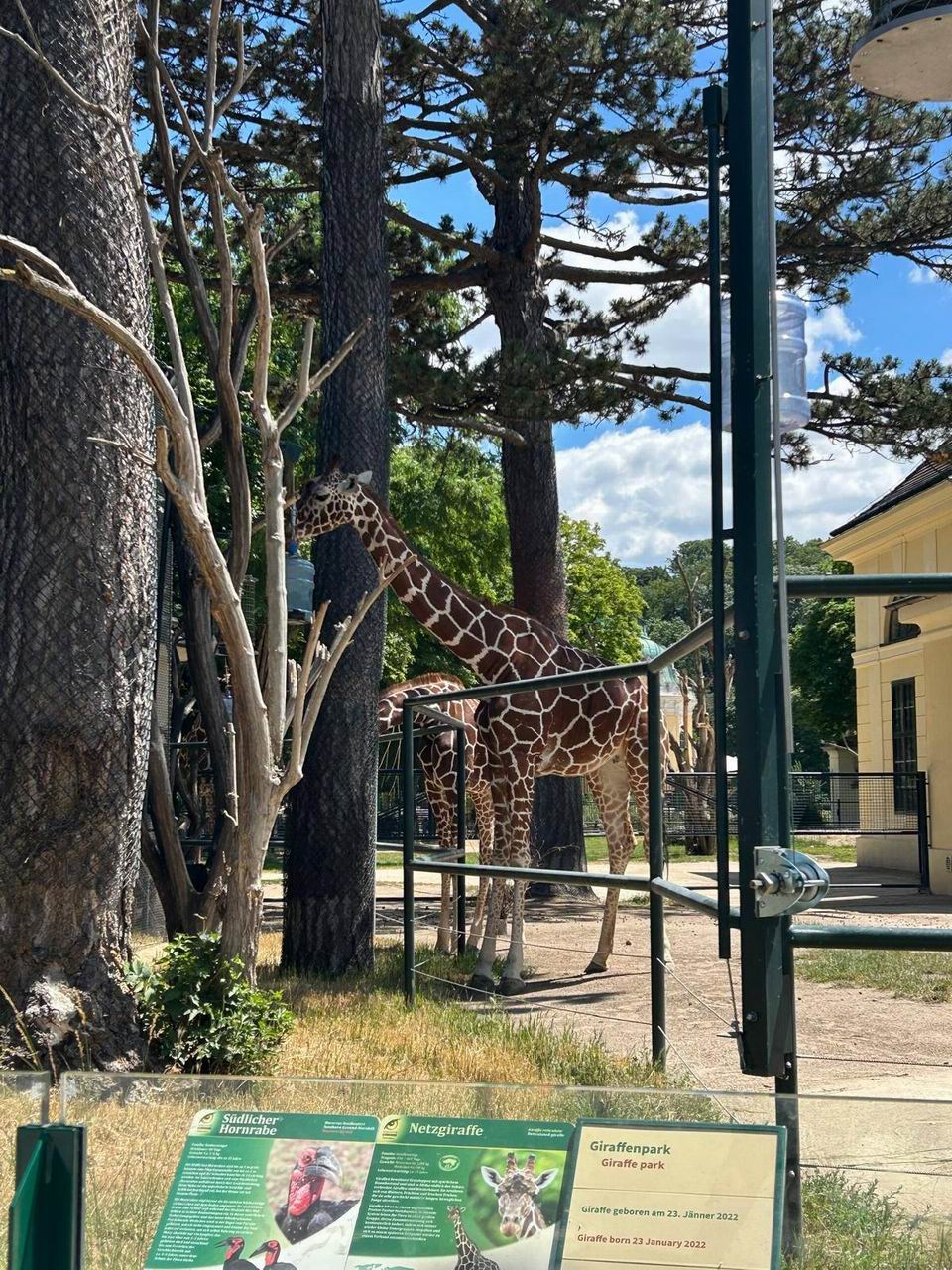 19 ZOO Vídeň
