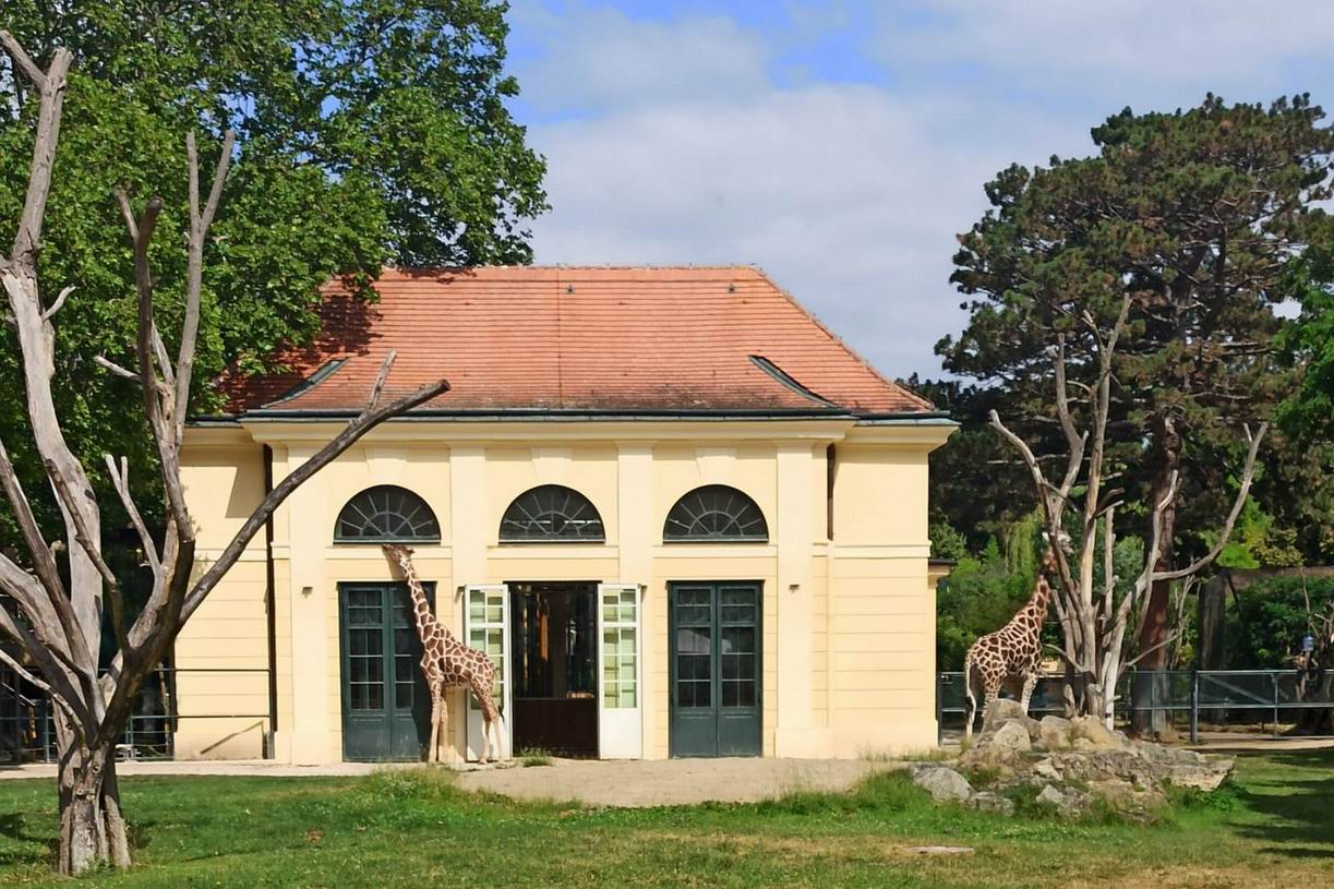20 ZOO Vídeň
