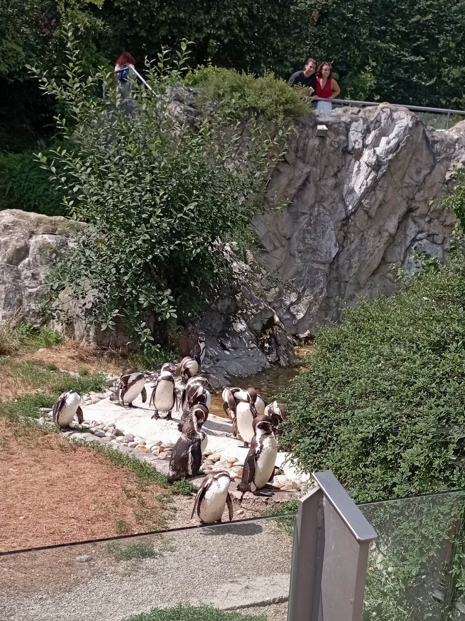 26 ZOO Vídeň