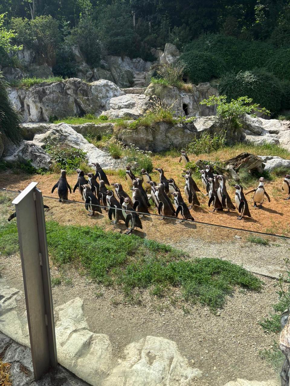 28 ZOO Vídeň