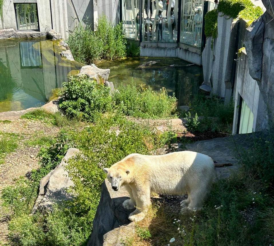 30 ZOO Vídeň