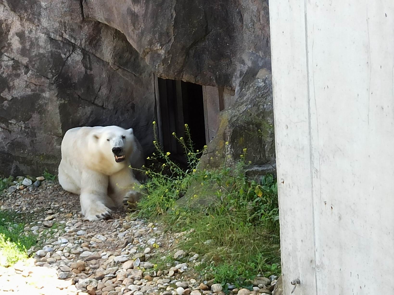 32 ZOO Vídeň
