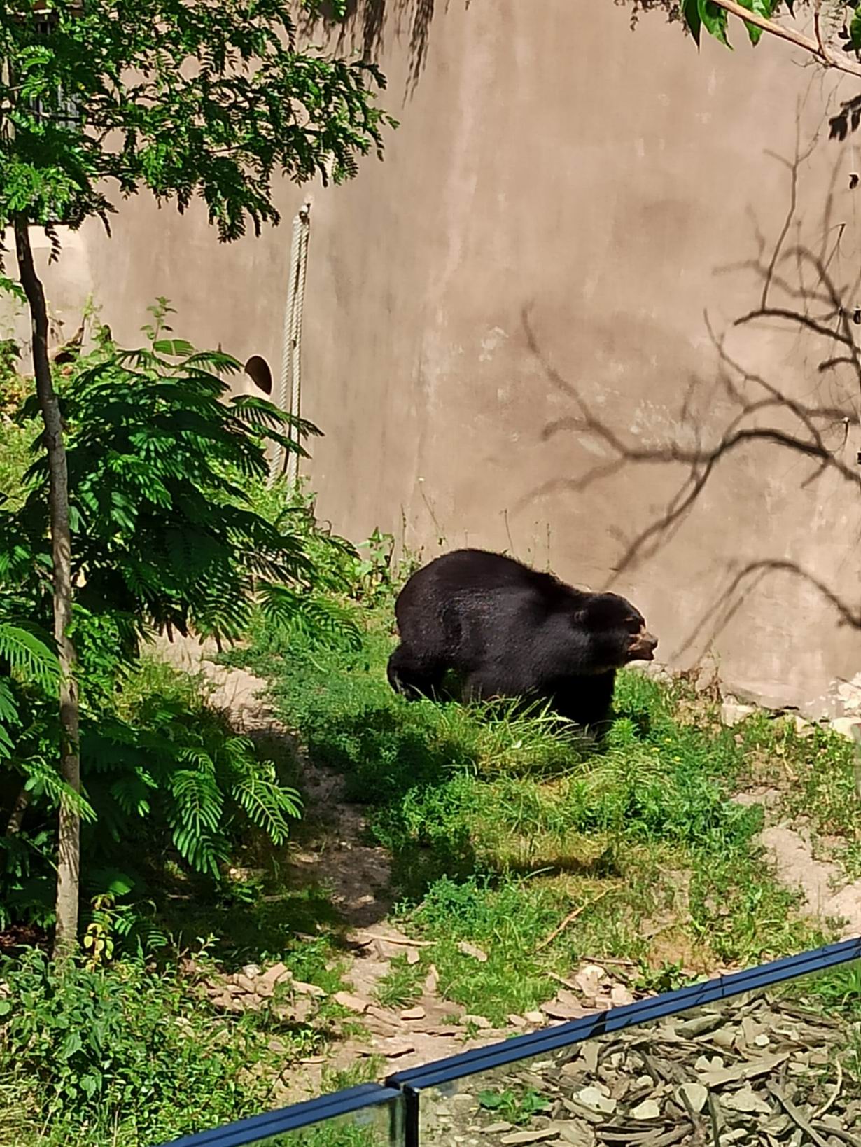 35 ZOO Vídeň