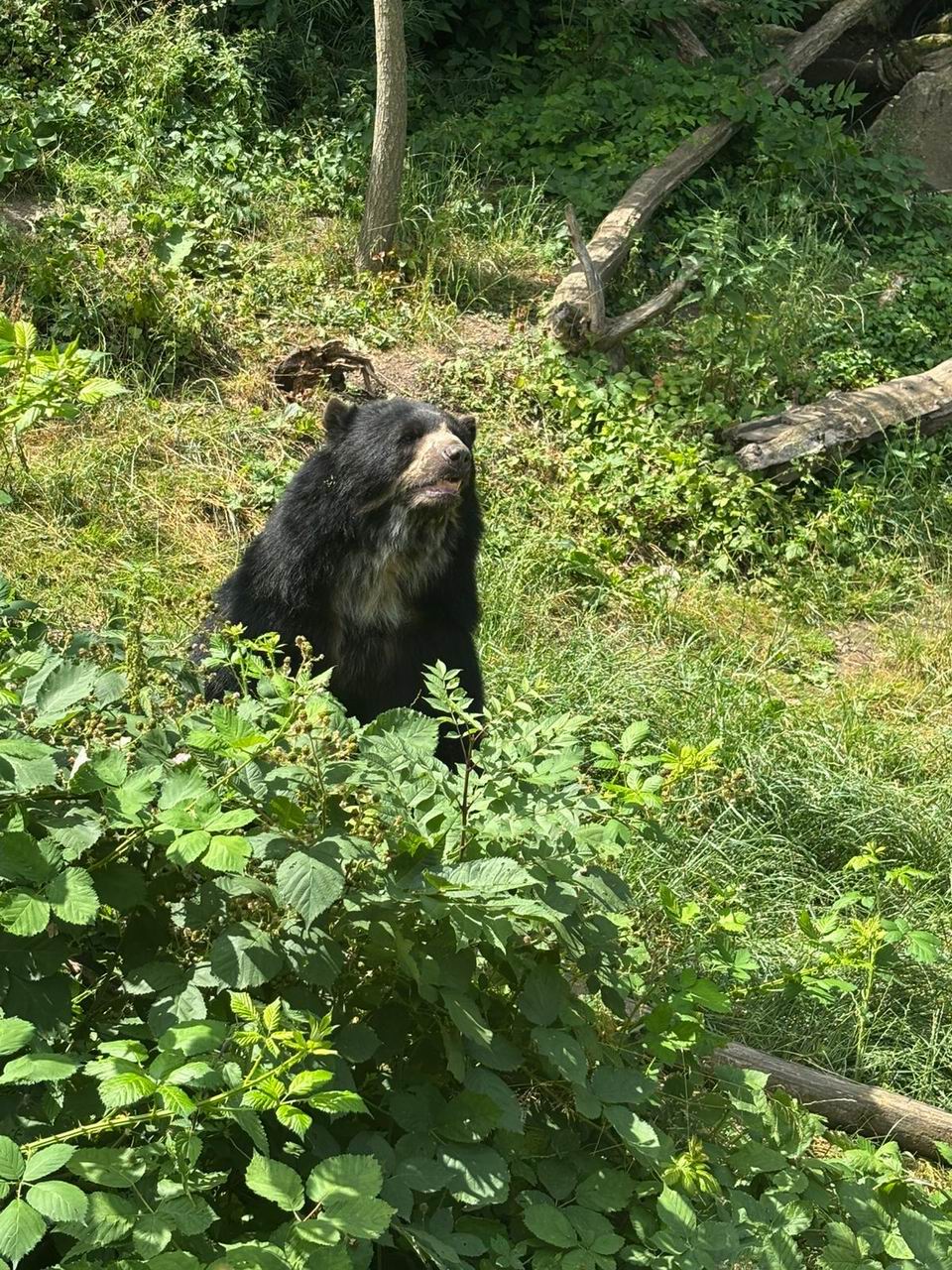36 ZOO Vídeň