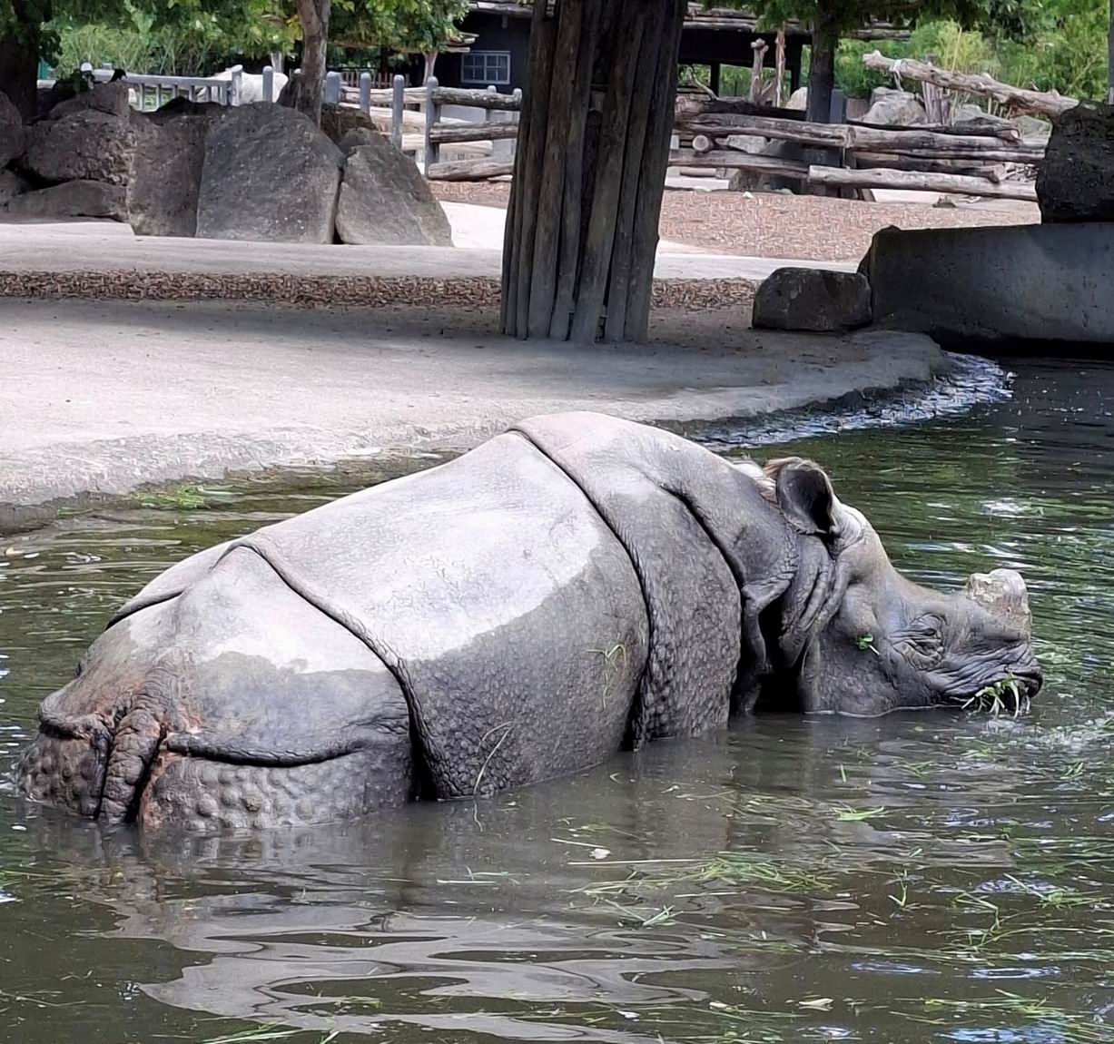 44 ZOO Vídeň
