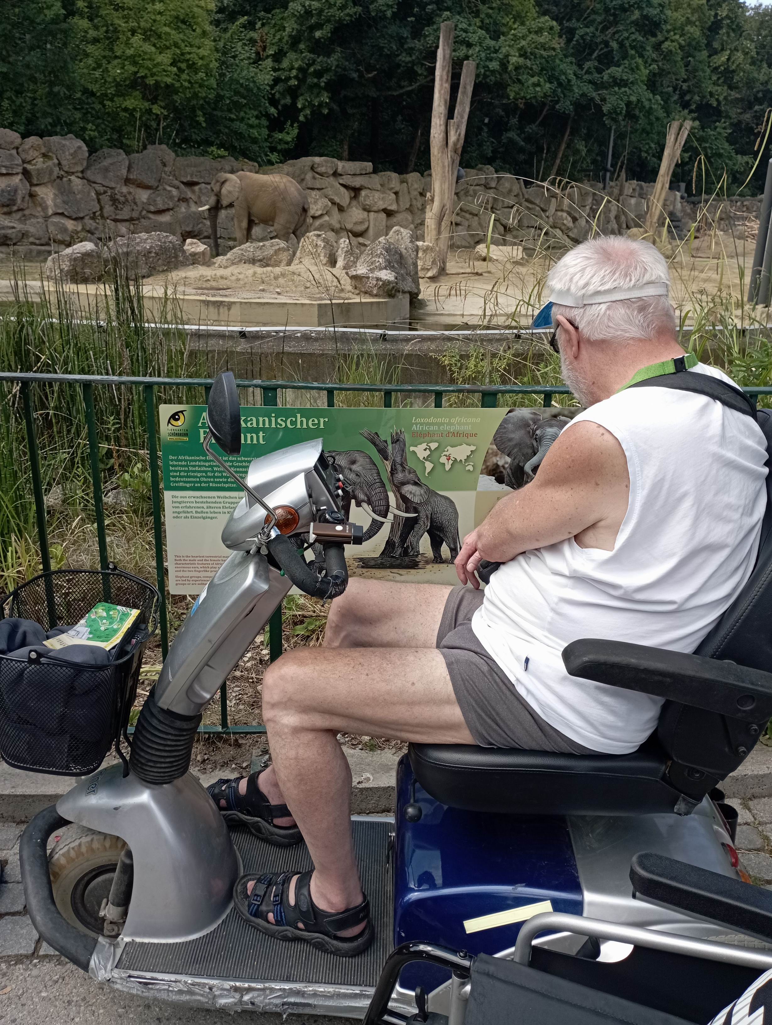 52 ZOO Vídeň