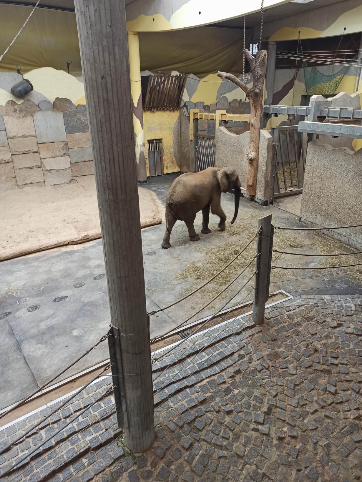 53 ZOO Vídeň