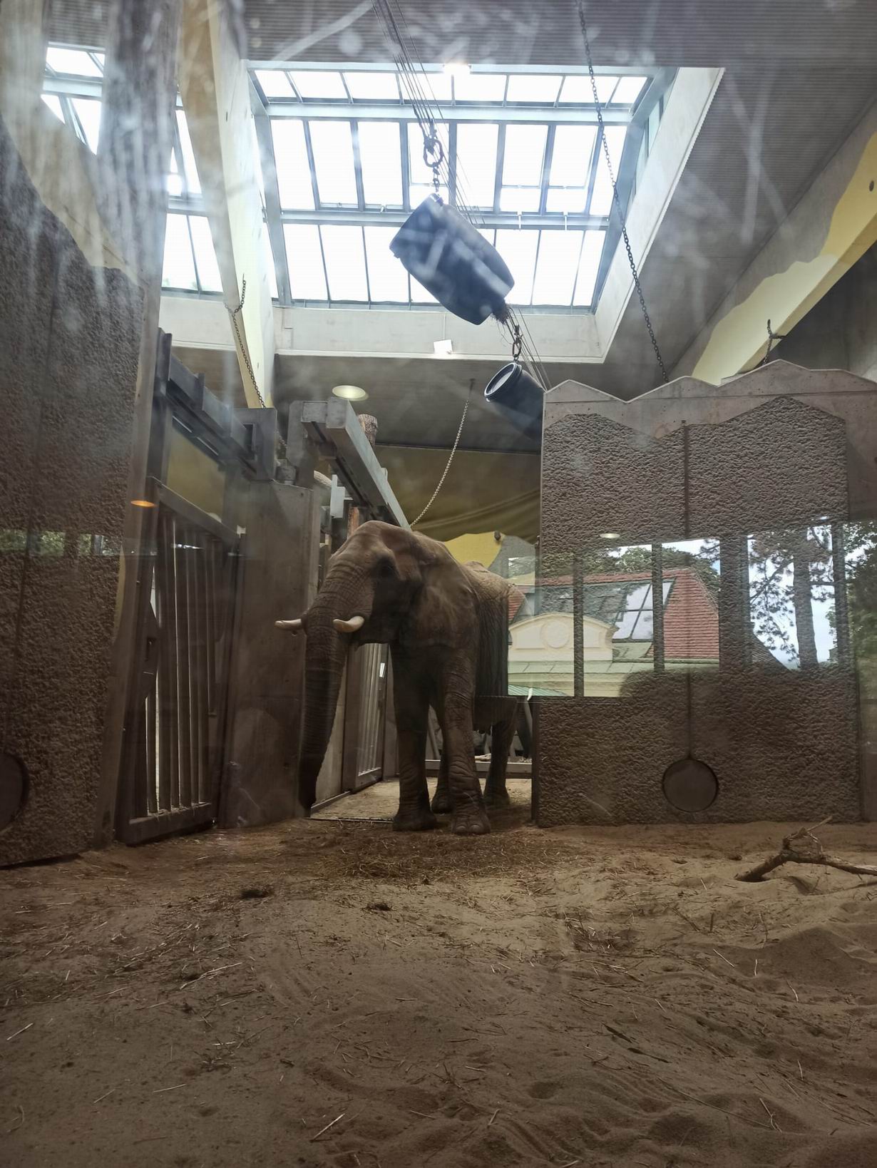 54 ZOO Vídeň