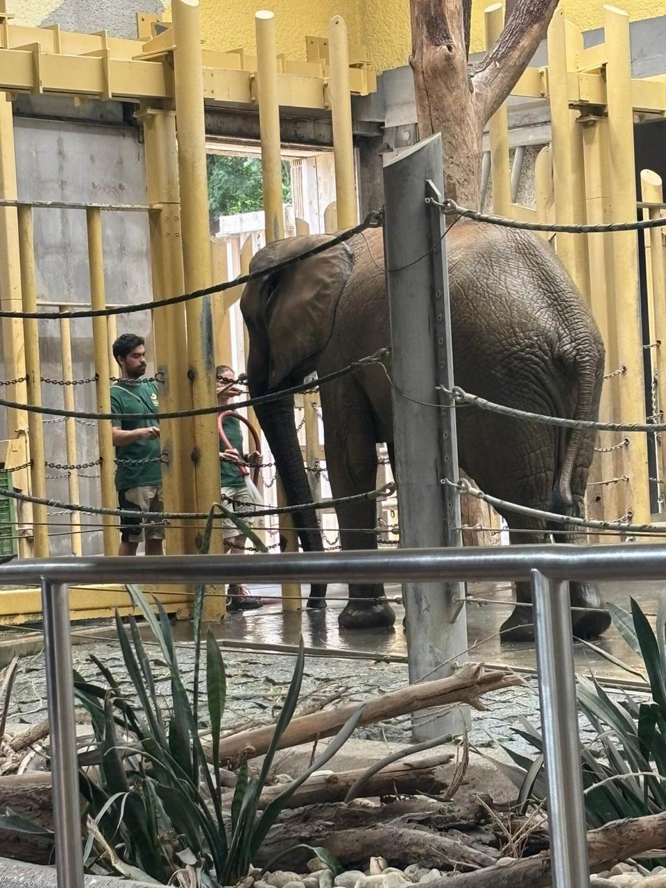 55 ZOO Vídeň