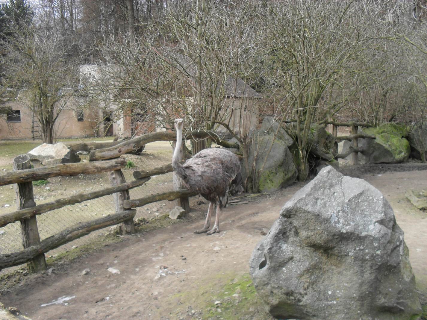 ZOO Jihlava 2016 jaro 16