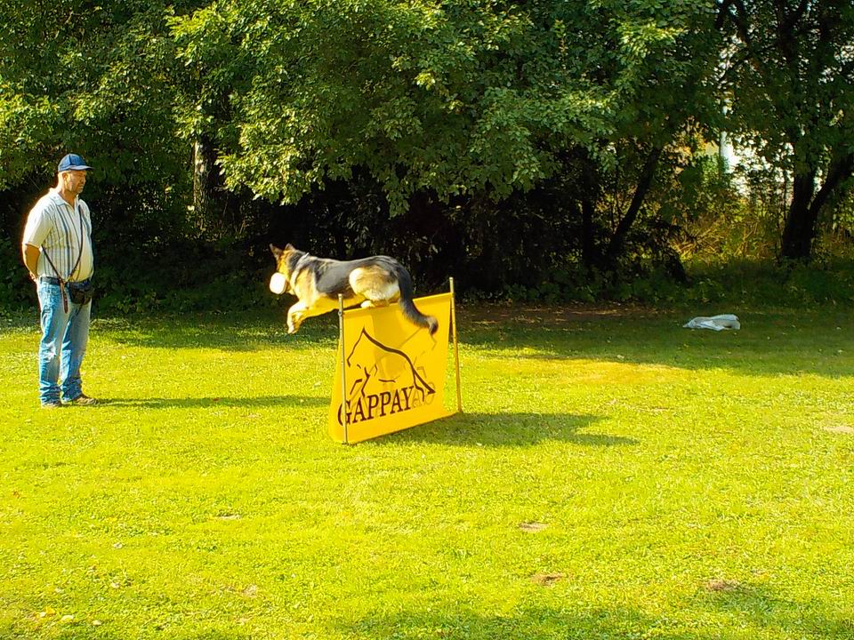 odpoledne na farmě 22