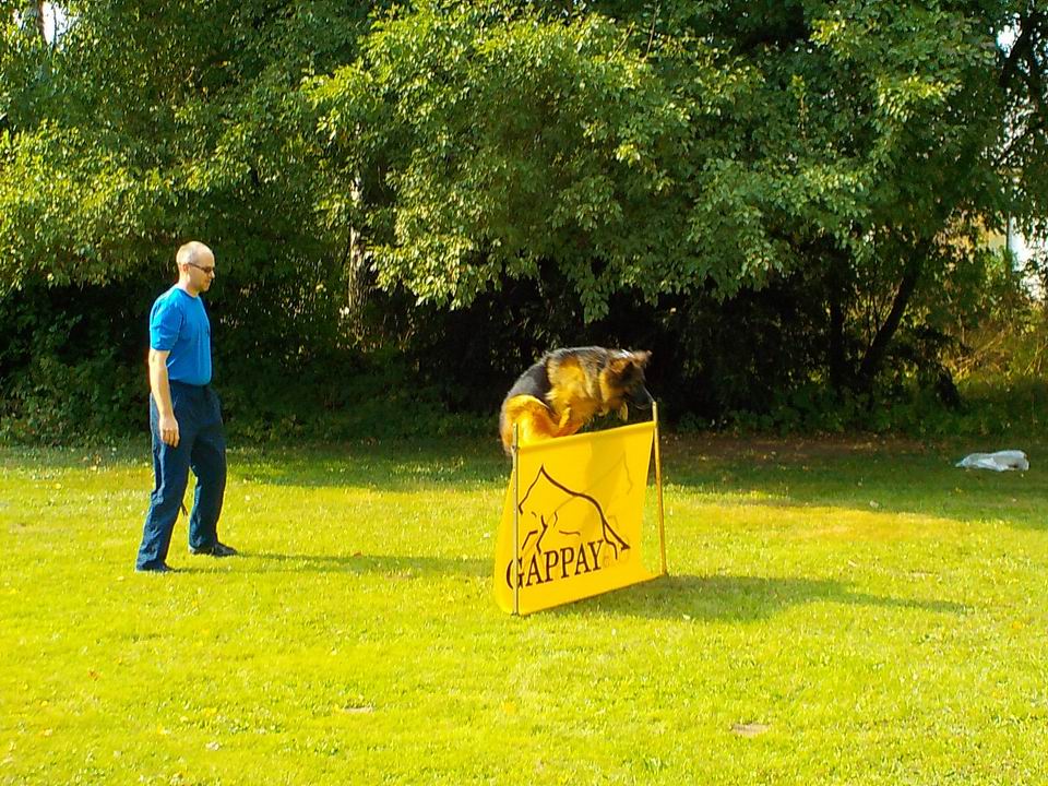 odpoledne na farmě 23