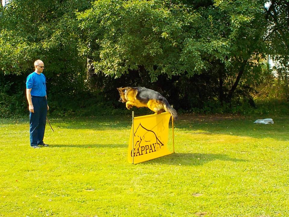 odpoledne na farmě 24