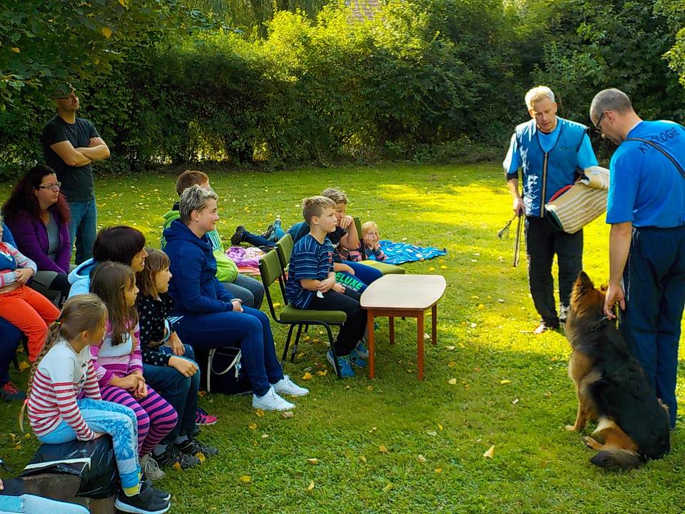 odpoledne na farmě 35