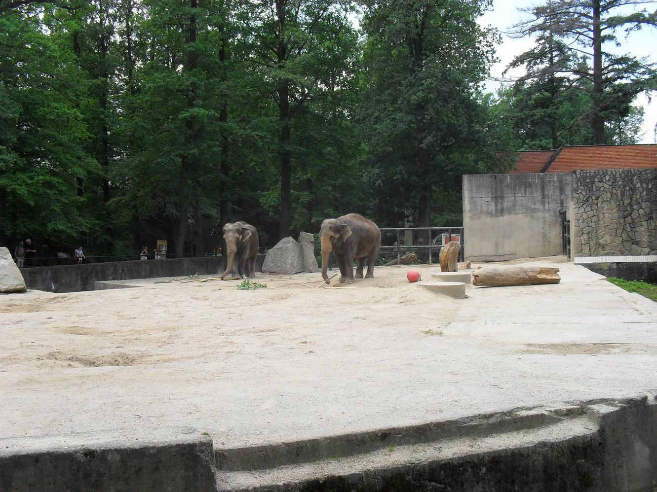 ZOO Liberec - Modrý slon 08