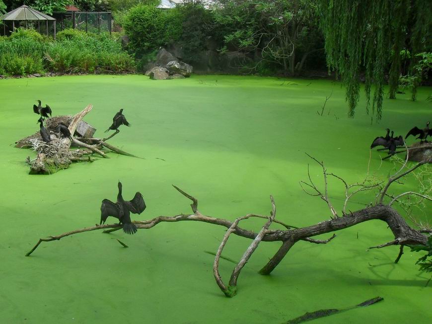 09 ZOO Plzeň 2019