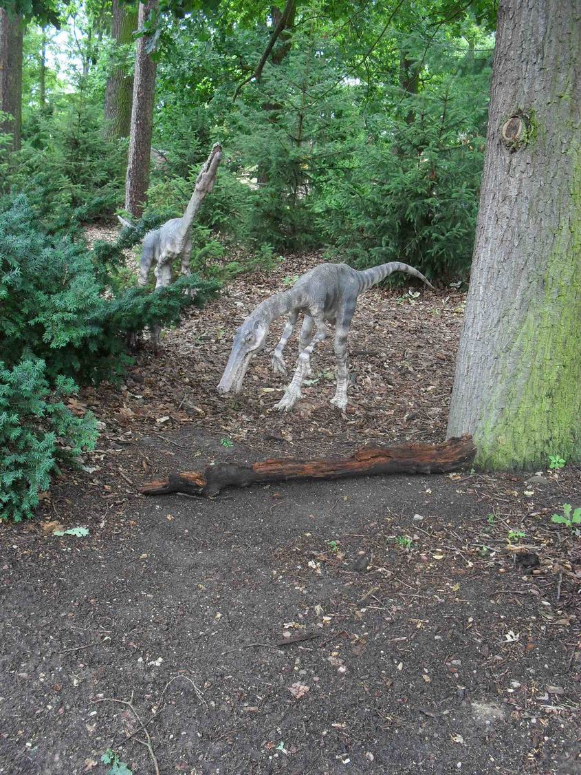 85 ZOO Plzeň 2019