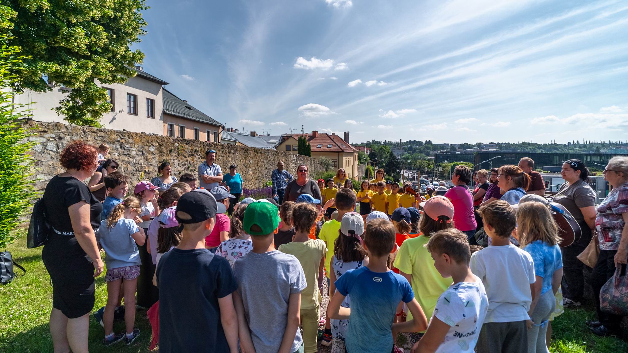 13 SLUNEČNICE NA HRADBÁCH