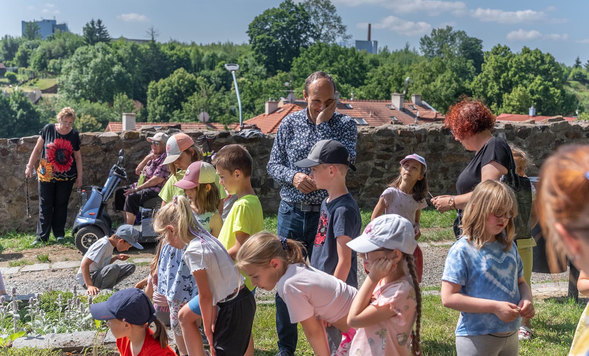 15 SLUNEČNICE NA HRADBÁCH