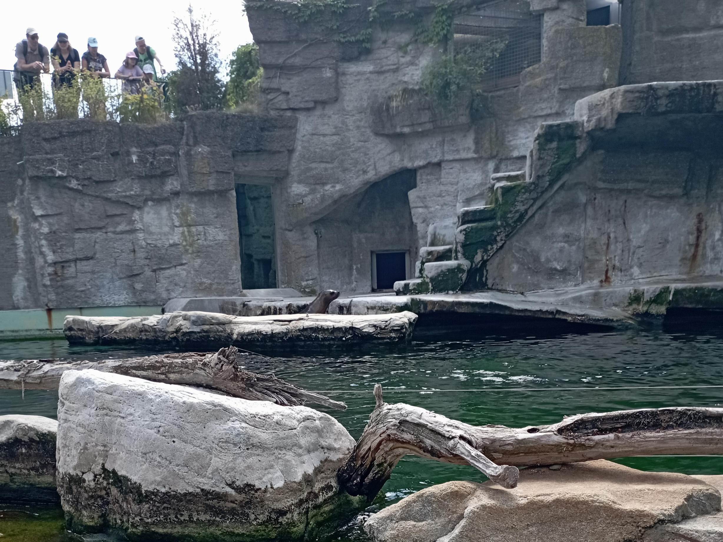 46 ZOO Vídeň