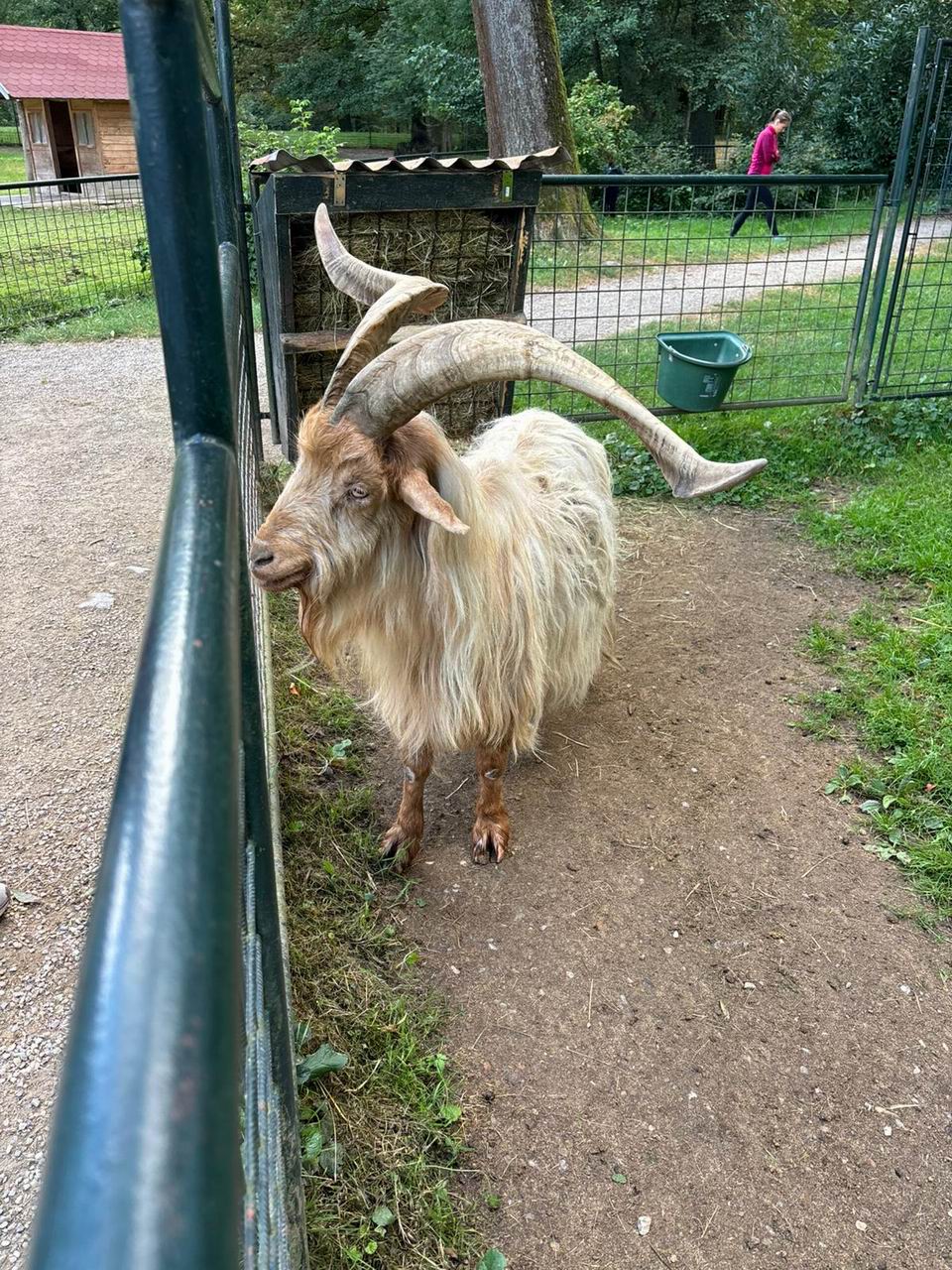 79 LETNÍ VÝLET JIHLAVSKÉ ROSKY