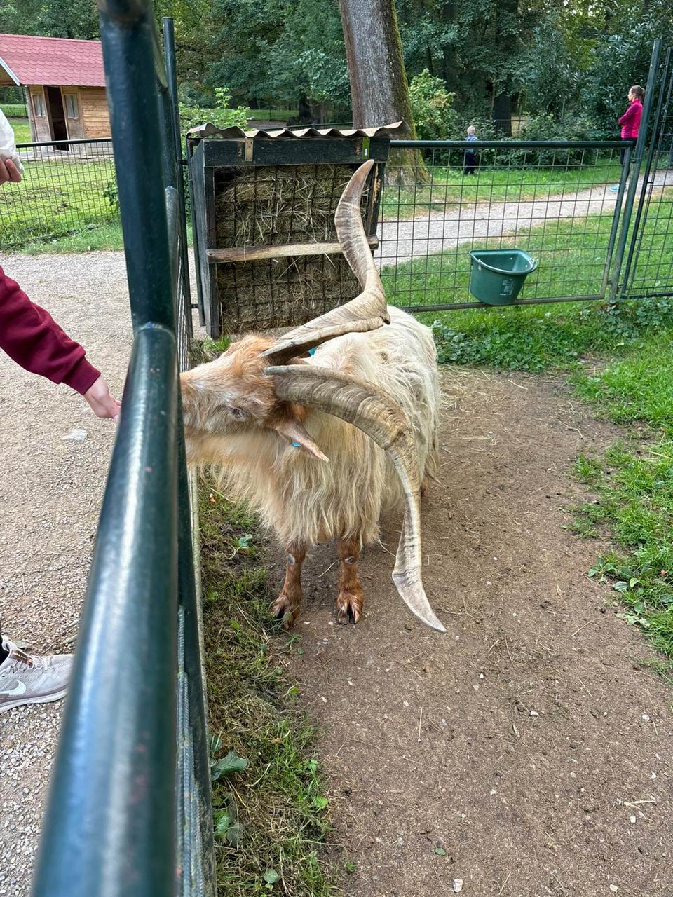 80 LETNÍ VÝLET JIHLAVSKÉ ROSKY