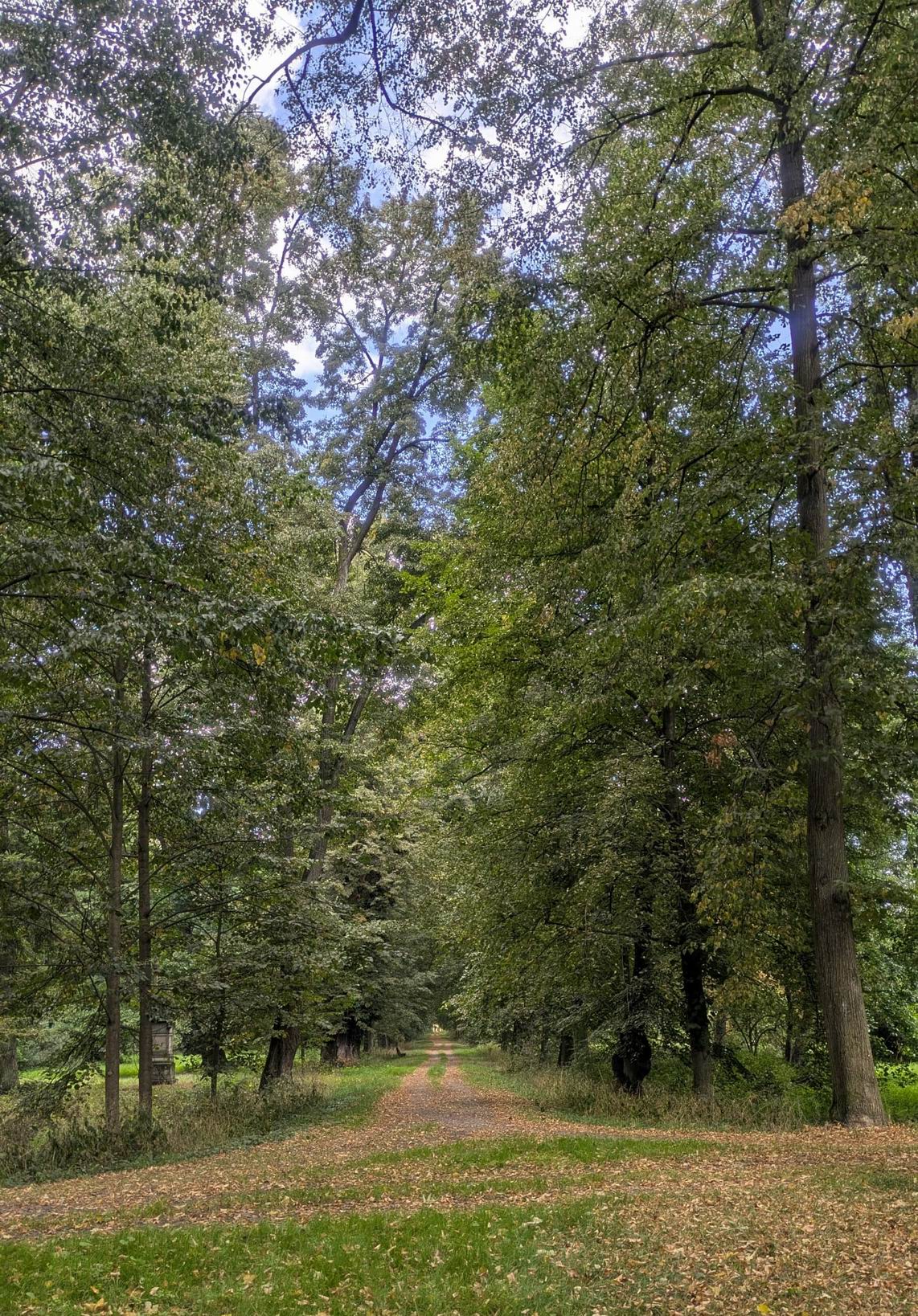 84 LETNÍ VÝLET JIHLAVSKÉ ROSKY