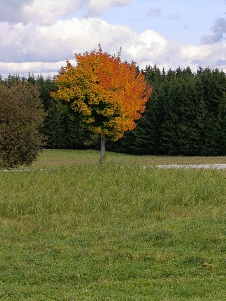 27 PODZIMNÍ REKONDICE-HOTEL PAVLA