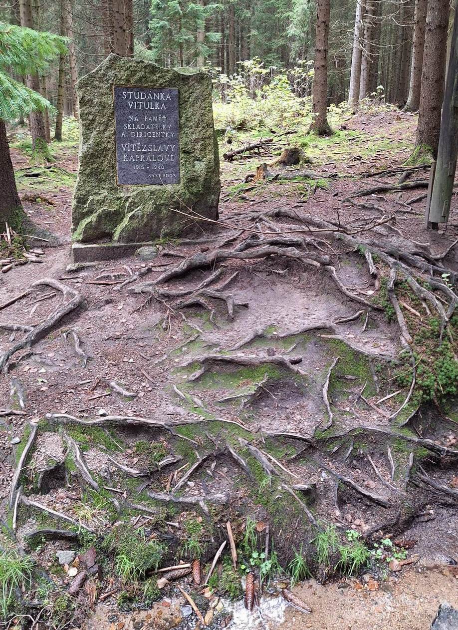 29 PODZIMNÍ REKONDICE-HOTEL PAVLA