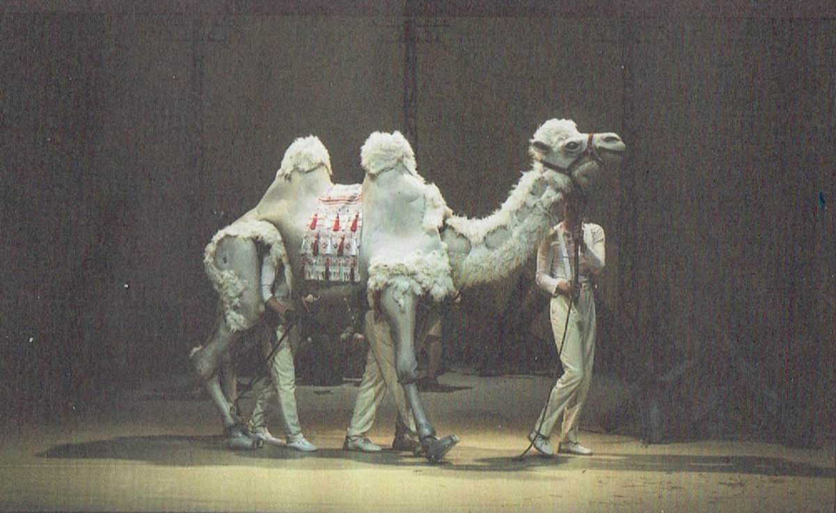 04. VELBLOUD V ZEMI NIKOHO