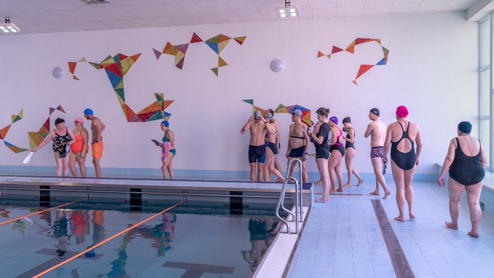 004 NAŠE PLAVÁNÍ PŘES COOKOVU ÚŽINU