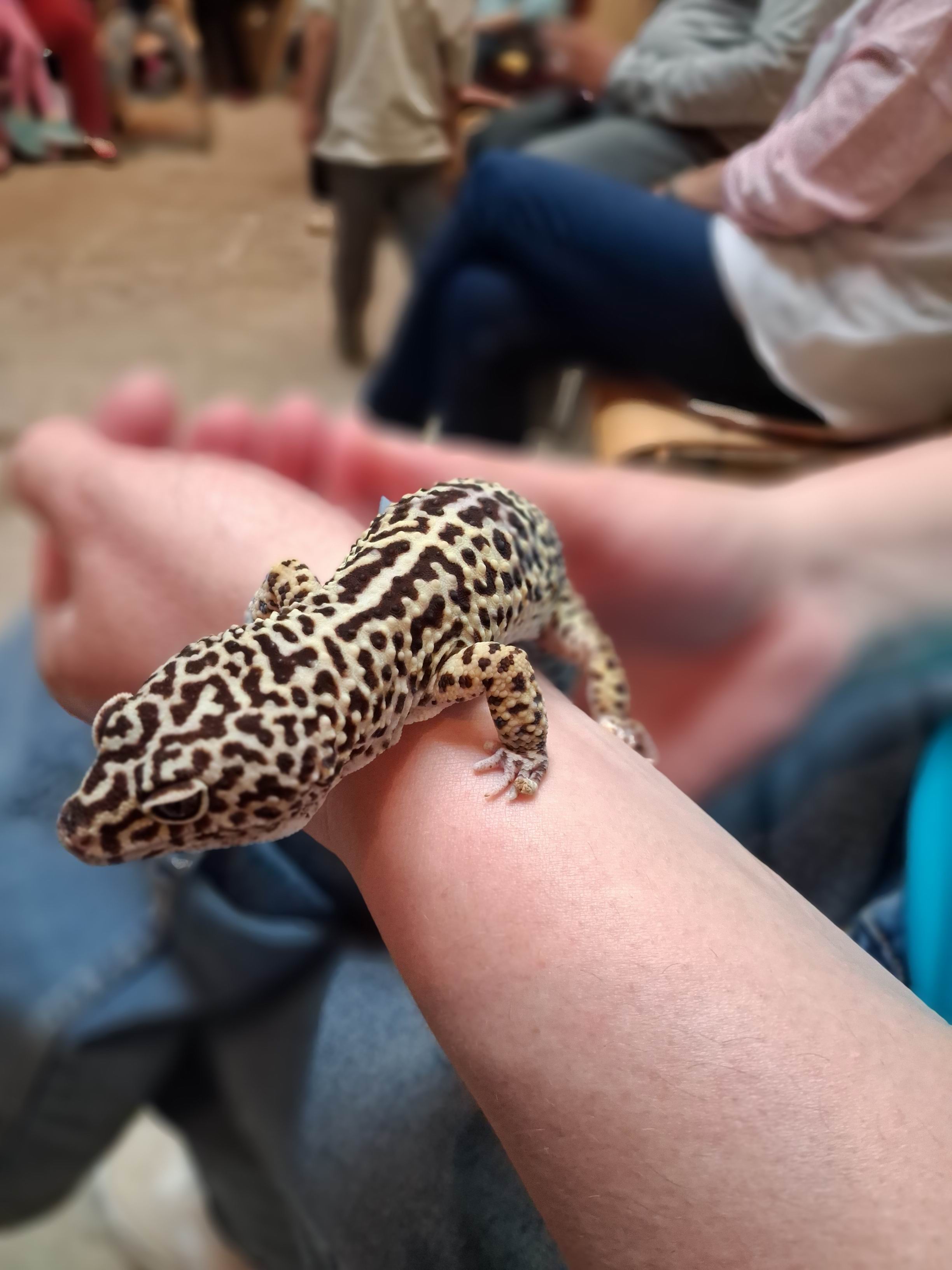 19 VÍTÁME JARO V ZOO