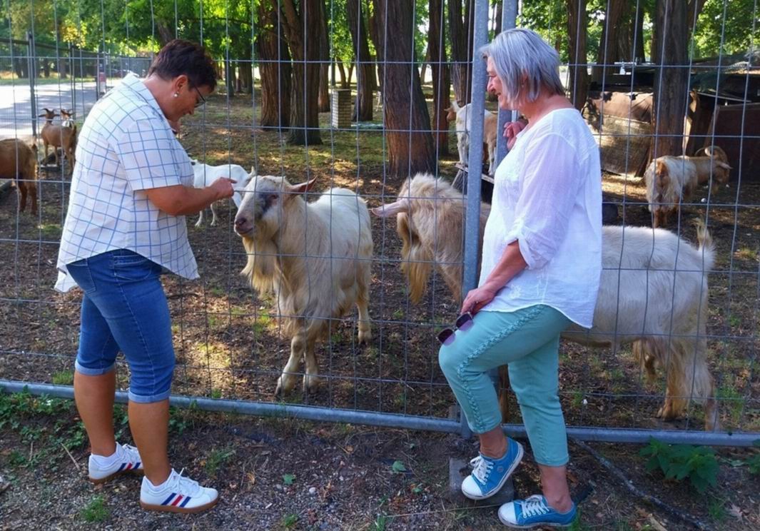 095. letecké muzeum Kbely a zámek Veltrusy
