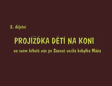 Sasov-dětský den 46