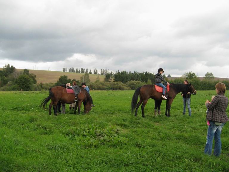 2014 Zemědělský den 6