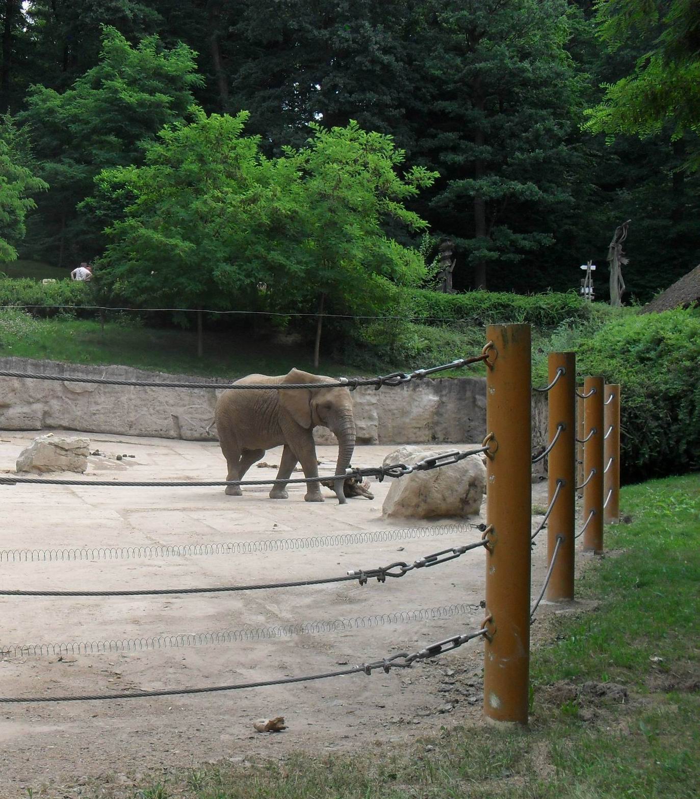 2015 výlet- letadla+ZOO 101  