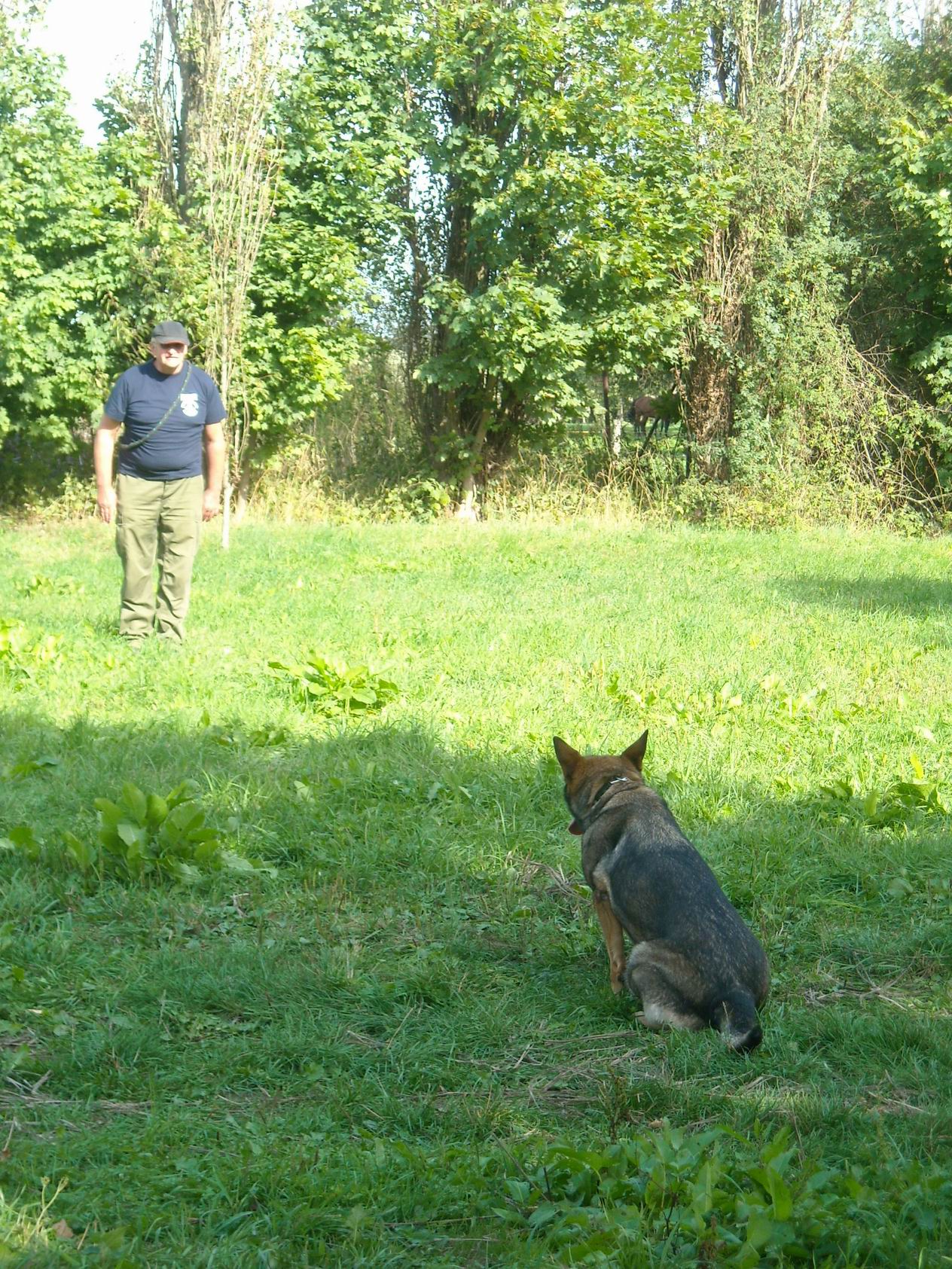 2015 hrátky na Sasově 60