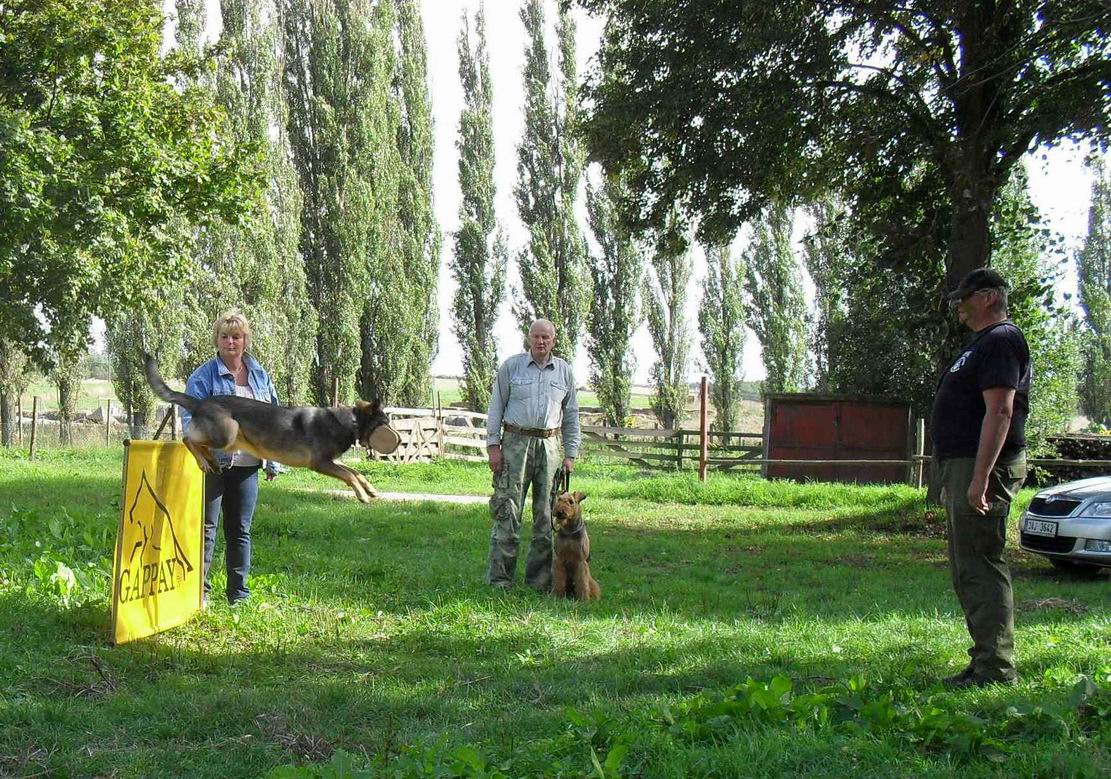 2015 hrátky na Sasově 65