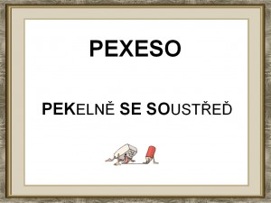 pexeso-turnaj-2014.jpg